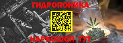 шишки Канаш